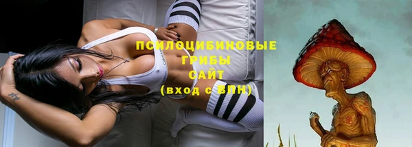 спиды Аркадак