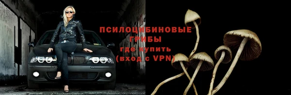 дурь Армянск