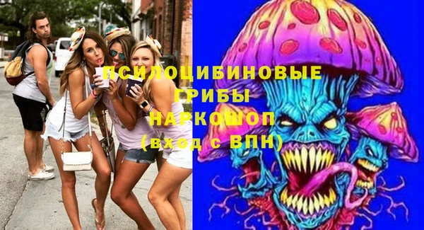мдпв Арсеньев