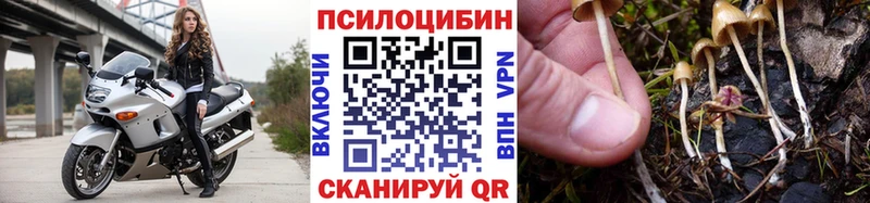 Галлюциногенные грибы прущие грибы Знаменск